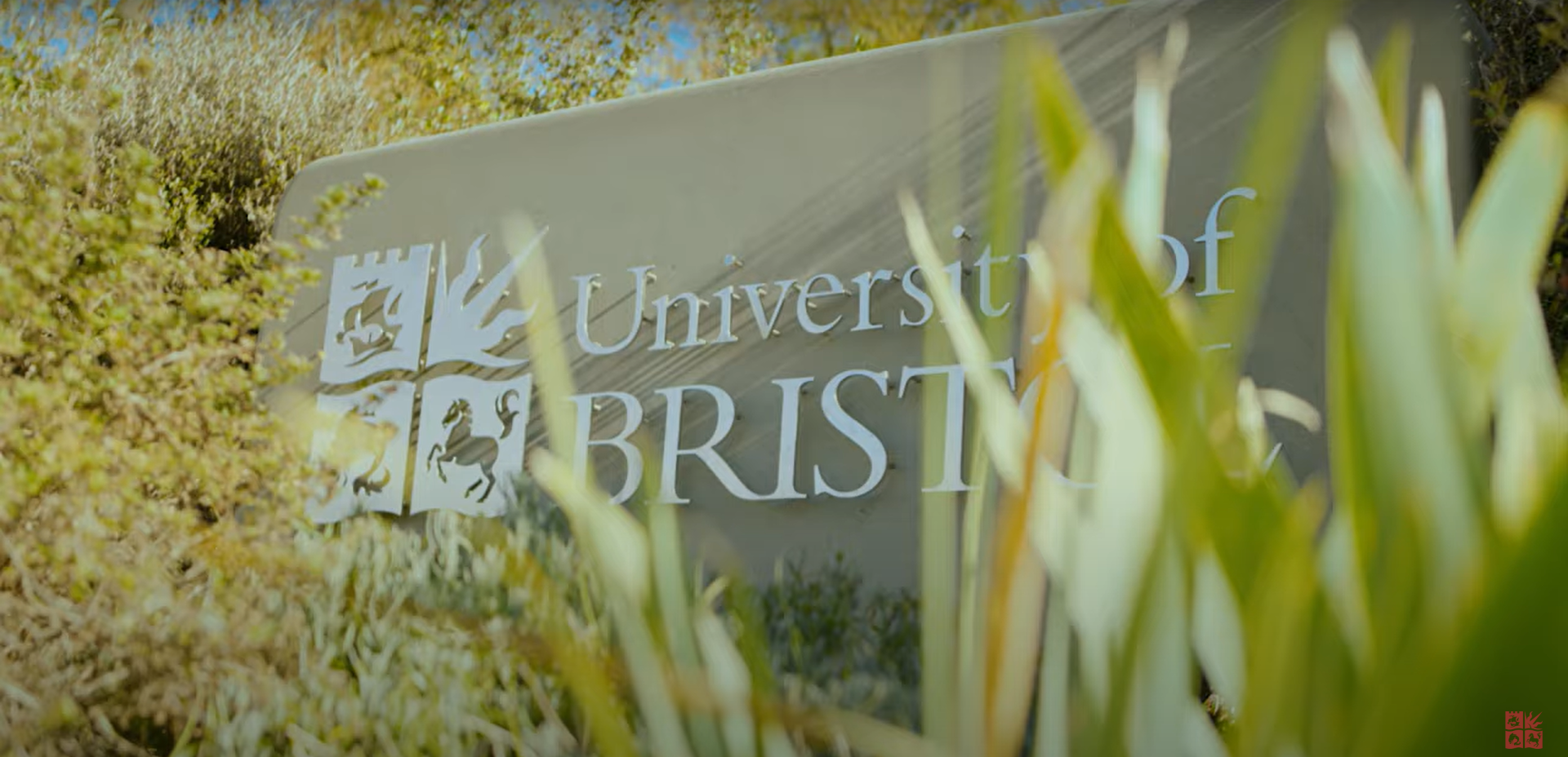 Study abroad at one of the best universities in the UK